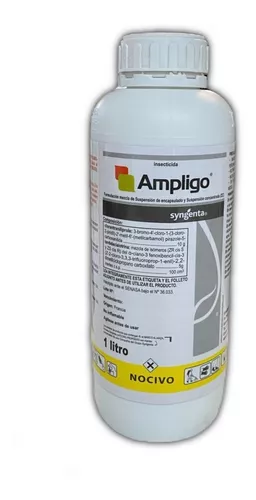 Imagen de AMPLIGO
