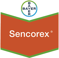 Imagen de SENCOREX
